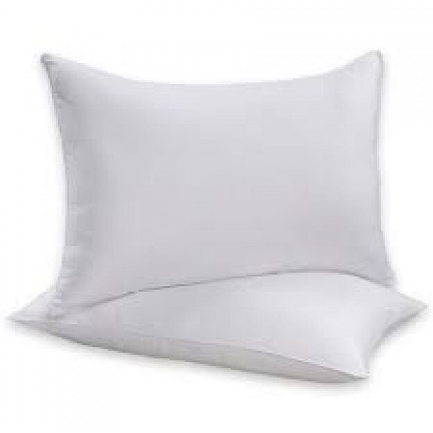 Pillow 20 on sale x 36